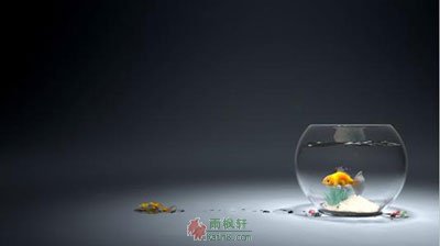 鸡汤不是地沟油