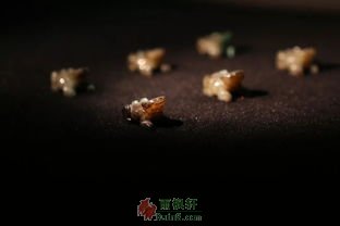 蛙池：一只孤独的帆儿闪着白光