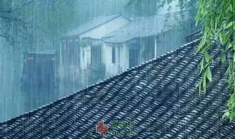 记忆中最大雨