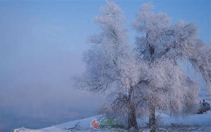 静待雪花开