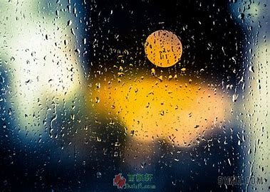 雨夜之光