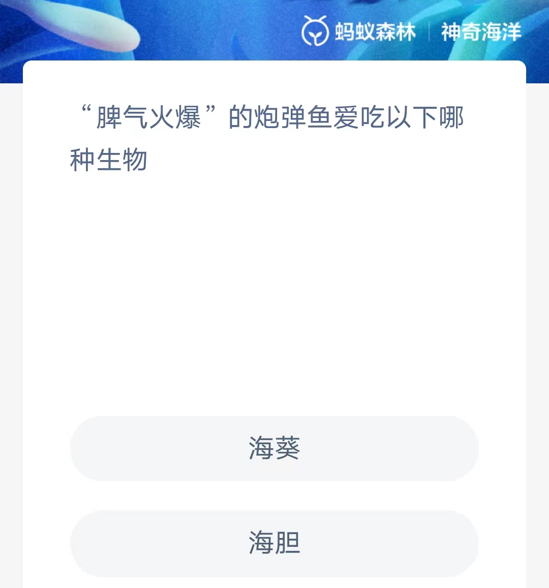 《支付宝》神奇海洋2023年9月17日答案攻略