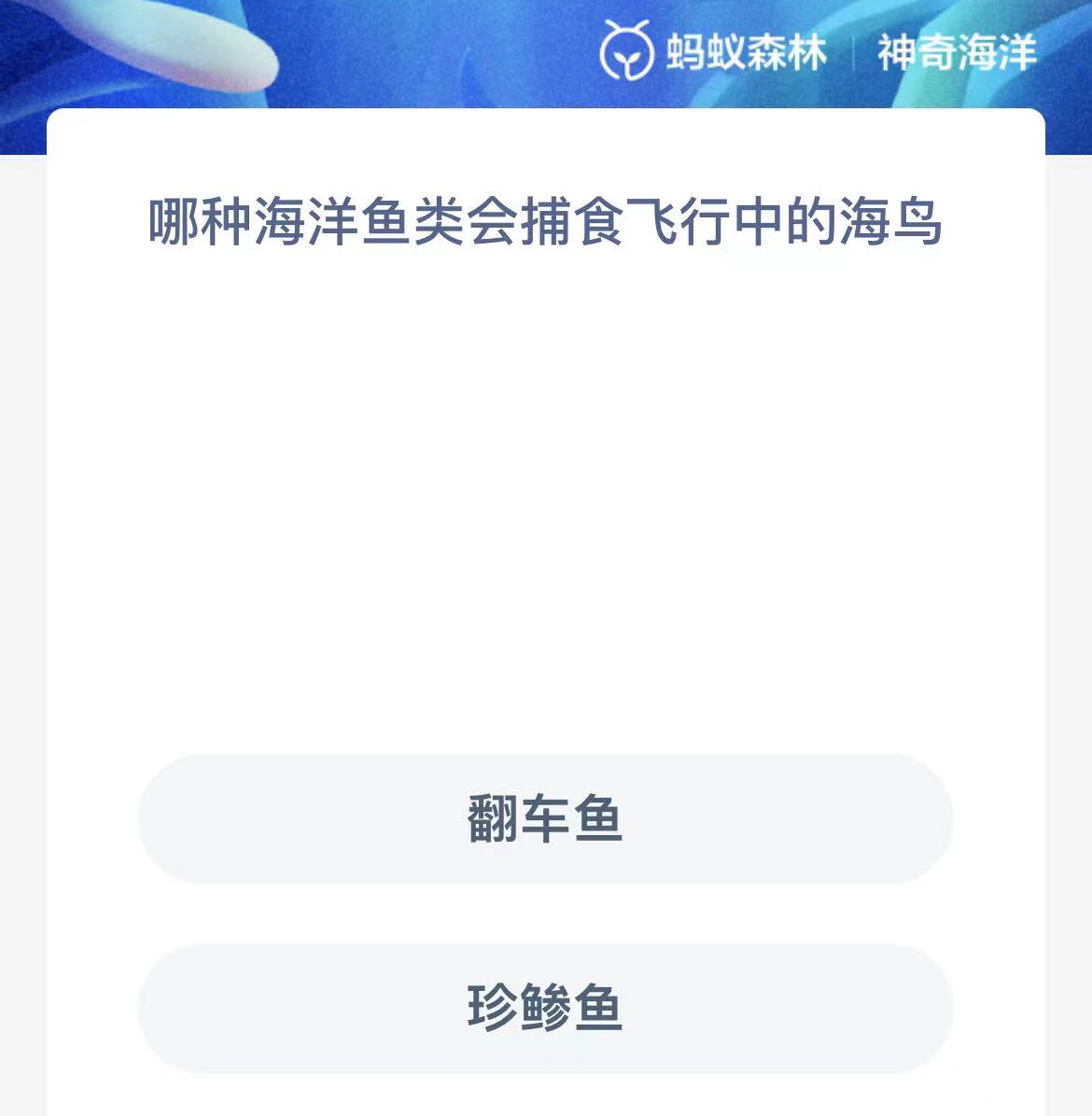 《支付宝》神奇海洋2023年10月4日答案攻略