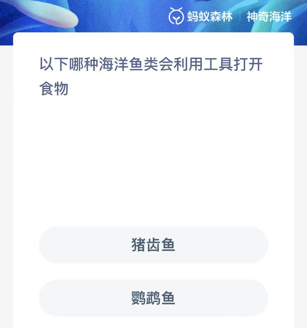 《支付宝》神奇海洋2023年10月16日答案攻略