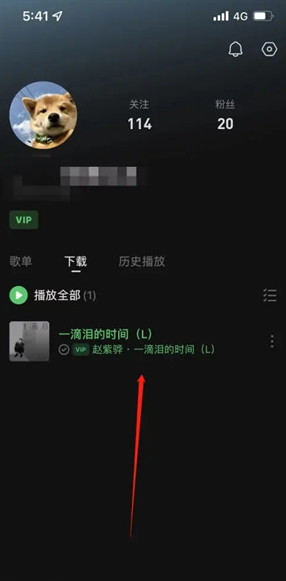 《汽水音乐》存储路径一览