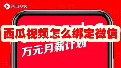 《西瓜视频》自动连续播放怎么设置