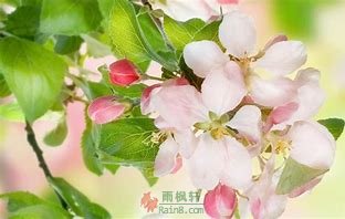 我在希望中祈祷春暖花开