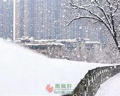 那年雪夜