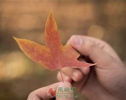 出人意料的答案