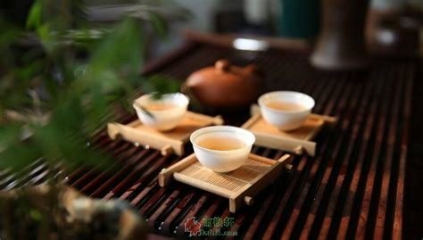 临涣古茶镇漫记