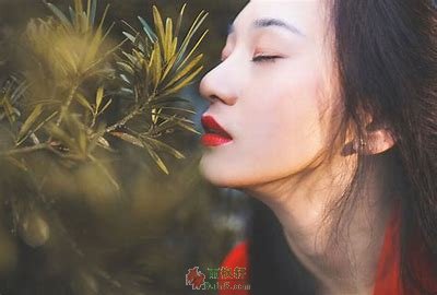 我来如流水，去如风